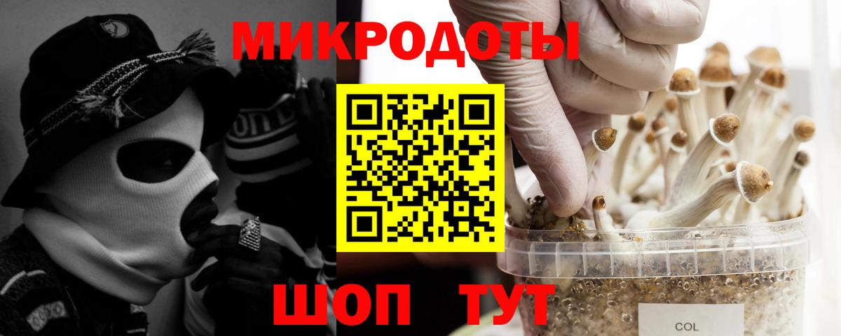 Псилоцибиновые грибы MAGIC MUSHROOMS  Псилоцибиновые грибы Cubensis  Вход с VPN  Миллерово 